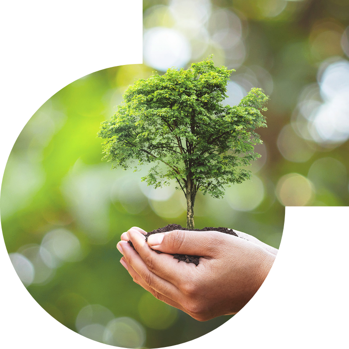 关怀人类、文化、环境与社会